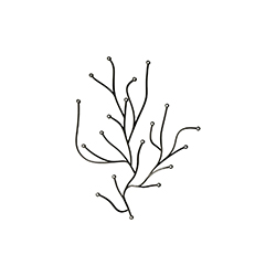 海草辦公飾品 波魯列克兄弟  辦公輔件