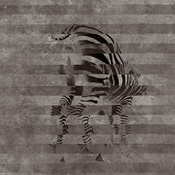 斑馬-原創(chuàng  )定制壁畫(huà) 張杉杉  裝飾畫(huà)/墻飾